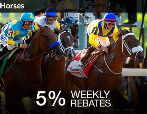 bovada horses